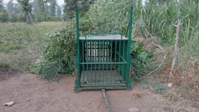 Photo of डांग जिले के नडगखादी गांव में तेंदुए का खतरा बरकरार 