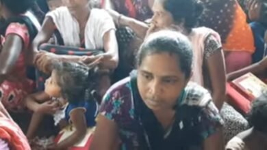 Photo of कपराडा तालुक में दिपावली के अवसर पर निराश्रित महिलाओं को साड़ियाँ वितरित की गईं।