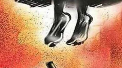 Photo of डांग जिले के खिरमानी गांव के बाहरी इलाके में जंगल में एक महिला का शव कंकाल हालत में मिला।