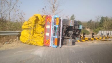 Photo of डांग के सापुतारा को शामगहान से जोड़ने वाले राजमार्ग पर सूखी मिर्च से भरा आइसर टेम्पो पलटा।