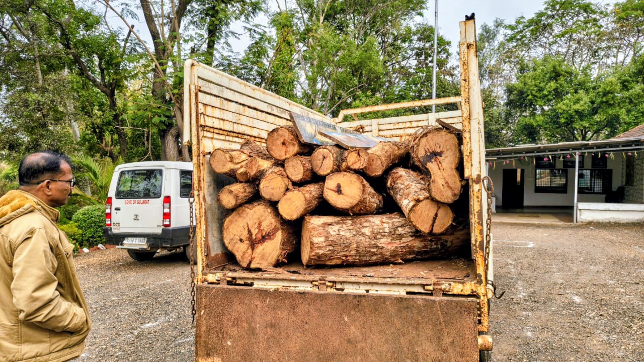 डांग में खैर लकड़ी तस्करी पर वन विभाग की बड़ी कार्रवाई।