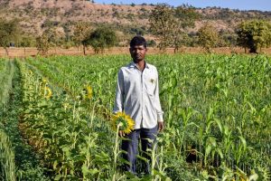 प्राकृतिक खेती से कम लागत में अधिक उत्पादन — गमनभाई ठाकरे बने प्रेरणास्रोत।