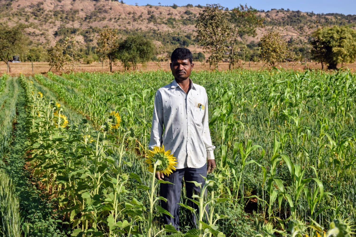प्राकृतिक खेती से कम लागत में अधिक उत्पादन — गमनभाई ठाकरे बने प्रेरणास्रोत।