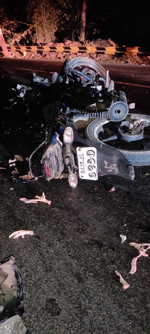 आहवा–वघई मार्ग पर दर्दनाक हादसा : सांड से टकराई बाइक, सांड की मौत।