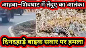 आहवा–शिवघाट मार्ग पर तेंदुए का आतंक; दिनदहाड़े बाइक सवार पर जानलेवा हमला, इलाके में दहशत।