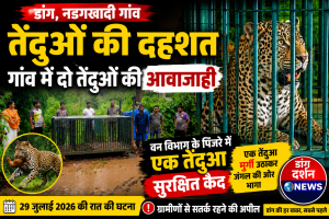 नडगखादी गांव में दो तेंदुओं की आवाजाही से दहशत, वन विभाग के पिंजरे में एक तेंदुआ सुरक्षि1त कैद1