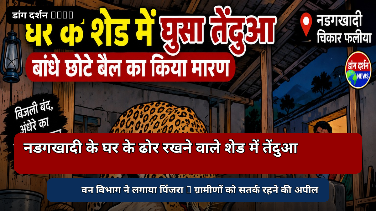 नडगखादी में घर के शेड में घुसा तेंदुआ, बंधे बैल का किया शिकार।